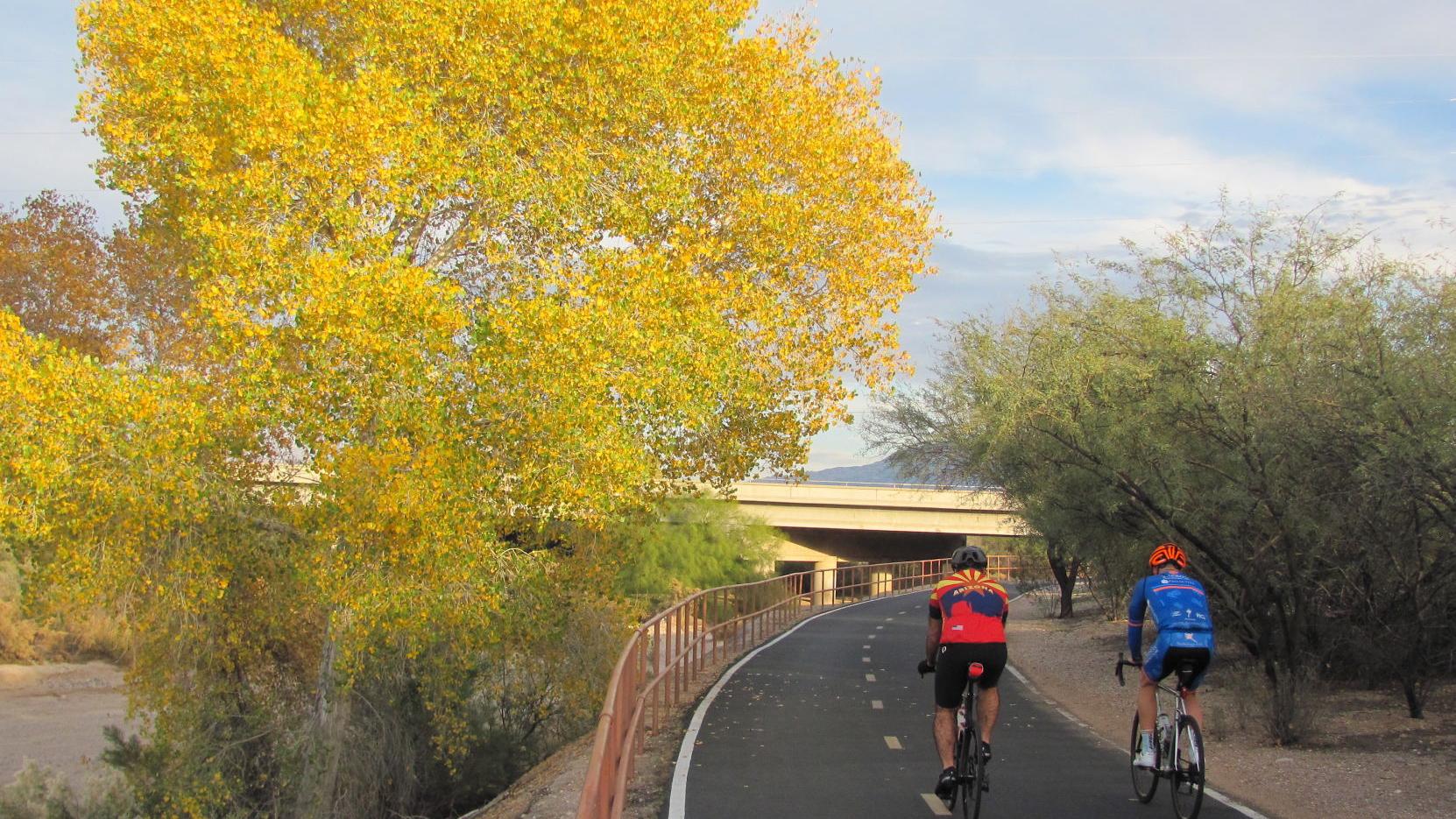 Temperatures above average expected in Tucson this week